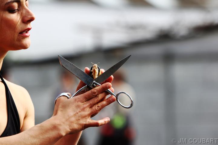 Diapositive suivante